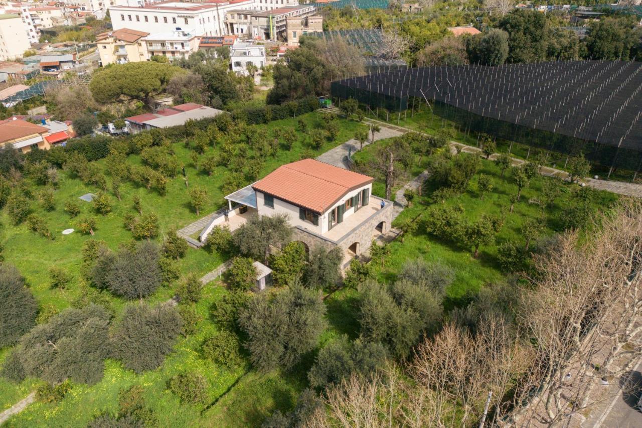 Tenuta Di Leva Piano di Sorrento Dış mekan fotoğraf