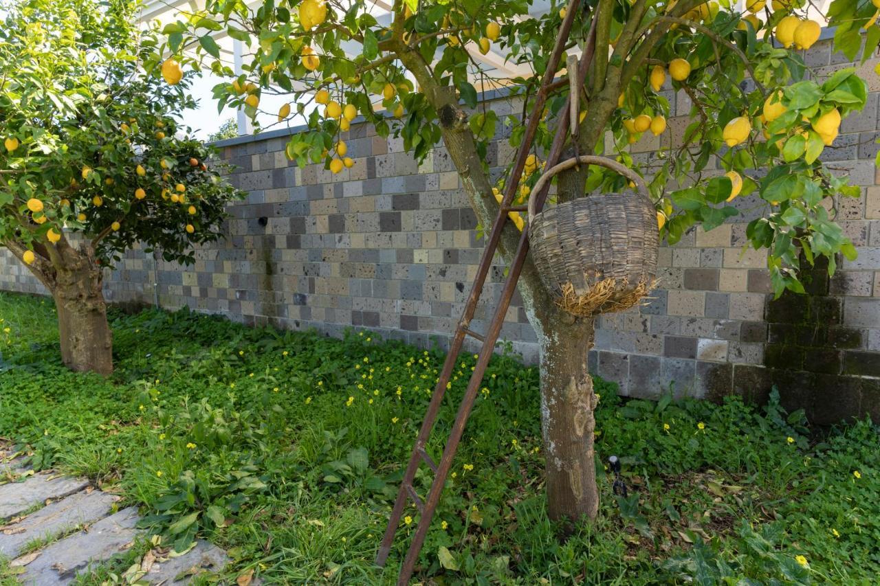 Tenuta Di Leva Piano di Sorrento Dış mekan fotoğraf